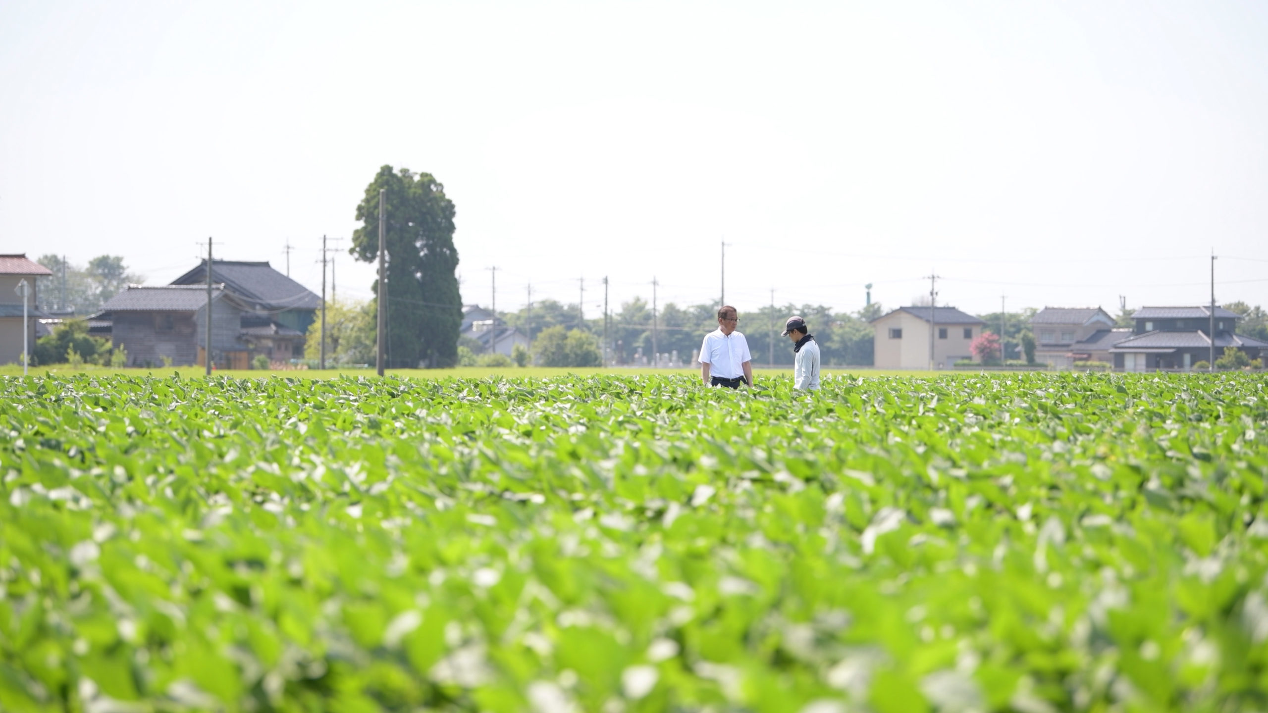 上田英俊の農業体験2